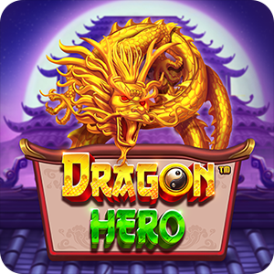 DRAGON HERO